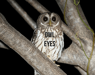 Owl Eyes - Other - Gamekafe